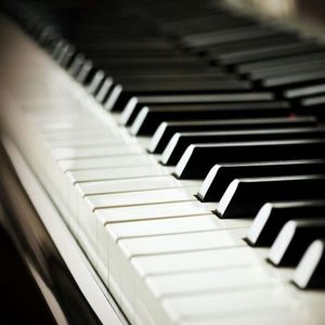 日本女人与动物性行为
