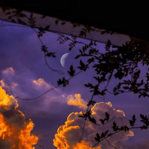 日本女人与动物性行为
